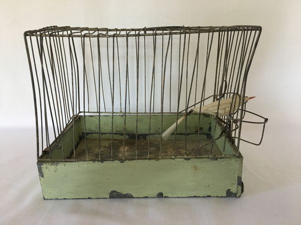 Lite Fuglebur i blikk