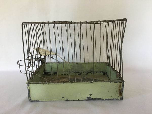 Lite Fuglebur i blikk